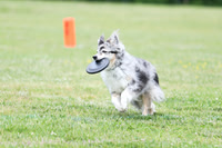 Up Dog - Day 1; May 13, 2023
