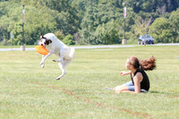 Keystone Disc Dogathon Skyhoundz 9-6-2020